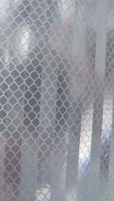 Rollo reflexivo prismático dirigido de la etiqueta engomada de las películas del vinilo de la hoja reflexiva del ANIMAL DOMÉSTICO del grado EGP para la seguridad vial